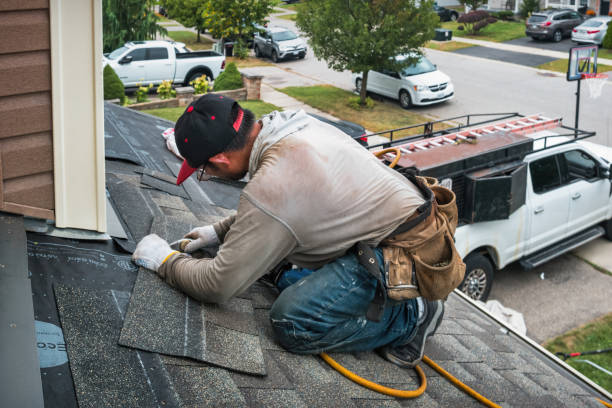 Professional Gutter Repair And Installation technician working in Columbus, TX